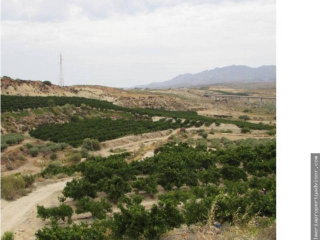 Terreno en venta en Los Gallardos, Andalucía