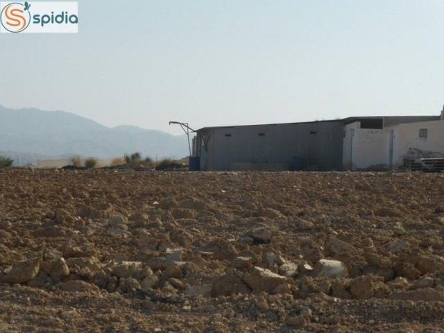 Terreno en venta en Los Gallardos, Andalucía
