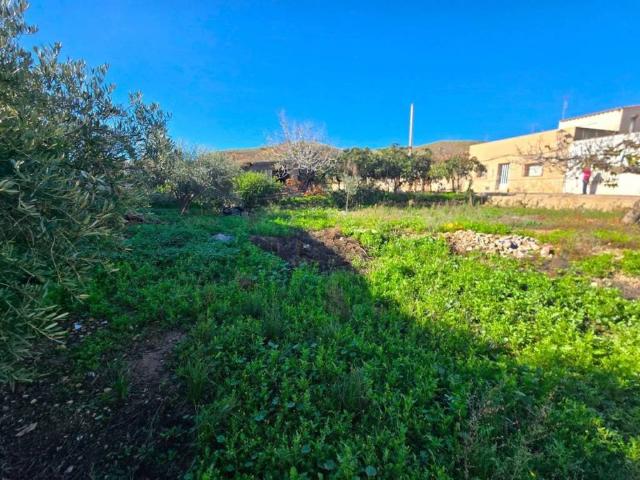 Terreno en venta en Los Gallardos, Andalucía