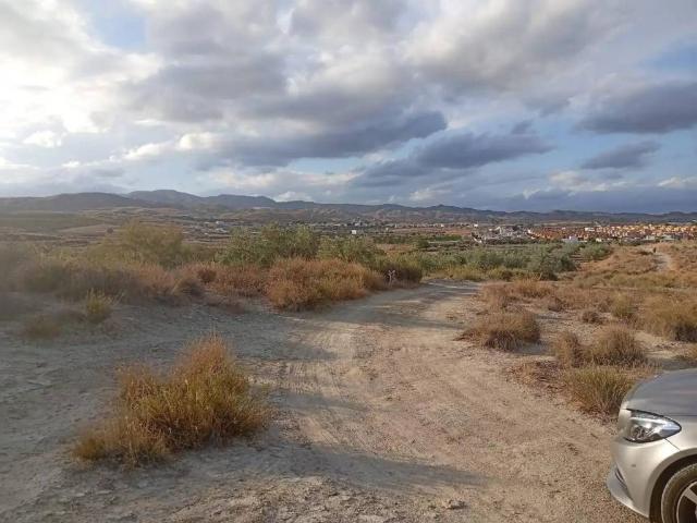Terreno en venta en Los Gallardos, Andalucía