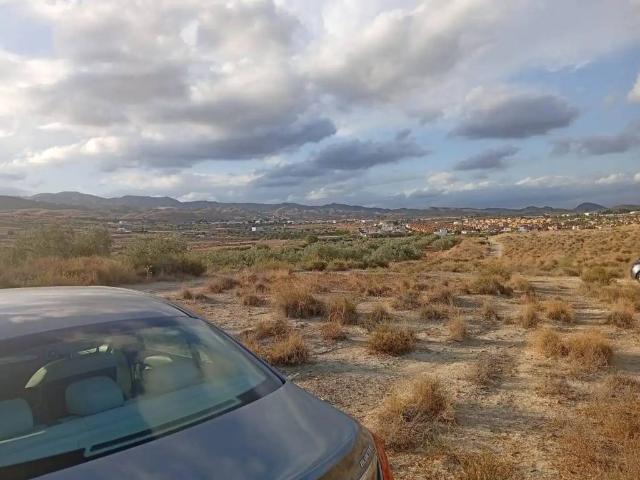 Terreno en venta en Los Gallardos, Andalucía
