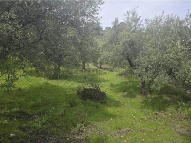 Terreno en venta en Comarca de la Costa Granadina, Andalucía