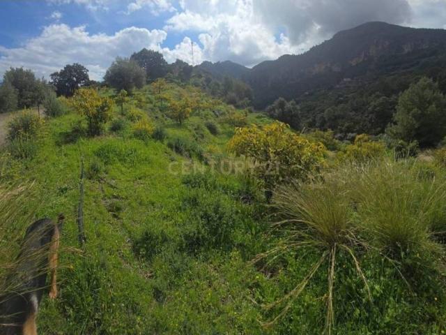 Terreno en venta en Comarca de la Costa Granadina, Andalucía