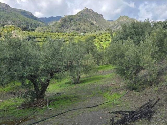 Terreno en venta en Comarca de la Costa Granadina, Andalucía