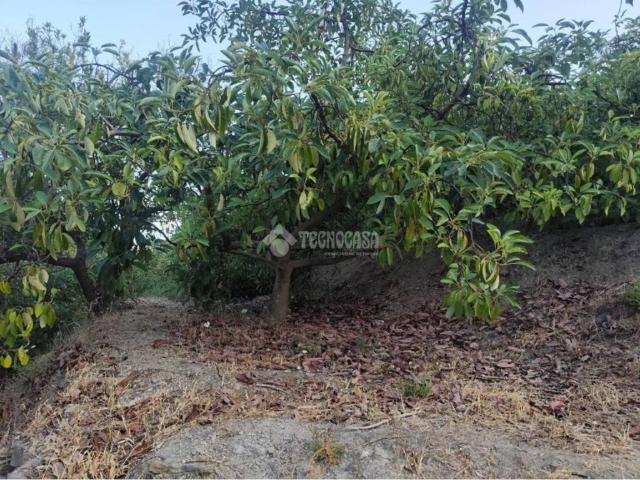 Terreno en venta en Comarca de la Costa Granadina, Andalucía