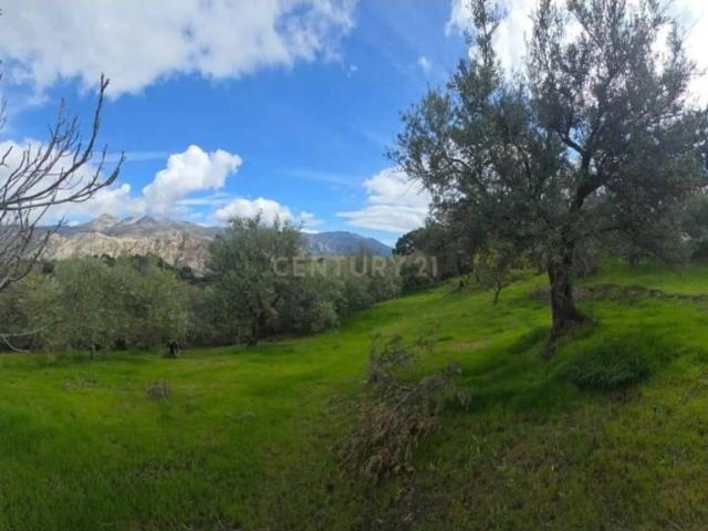 Terreno en venta en Comarca de la Costa Granadina, Andalucía