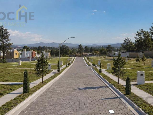 Terreno en venta en Perote, Veracruz