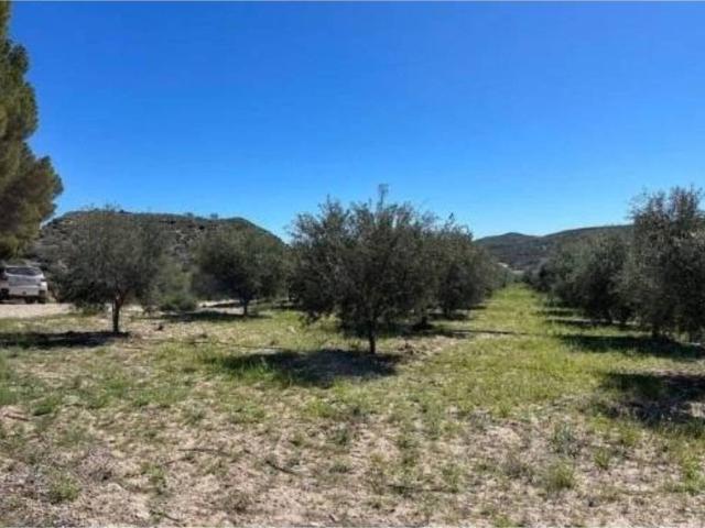 Terreno en venta en el Baix Segura / La Vega Baja, Valencia
