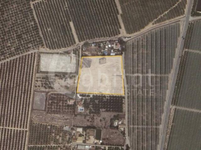 Terreno en venta en Los Montesinos