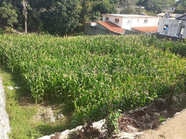 Propiedad en venta en Guárico