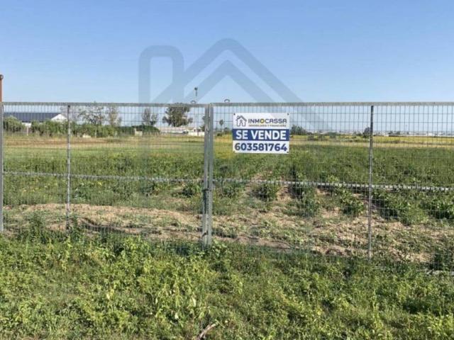 Terreno en venta en Los Palacios Y Villafranca, Sevilla