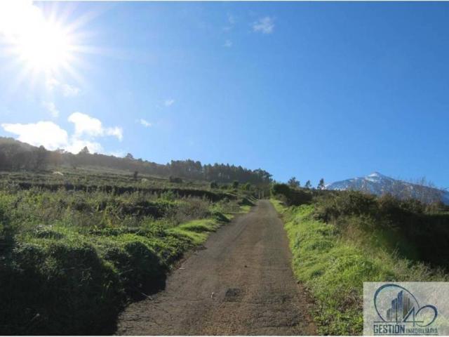 Terreno en venta en Los Realejos, Canarias