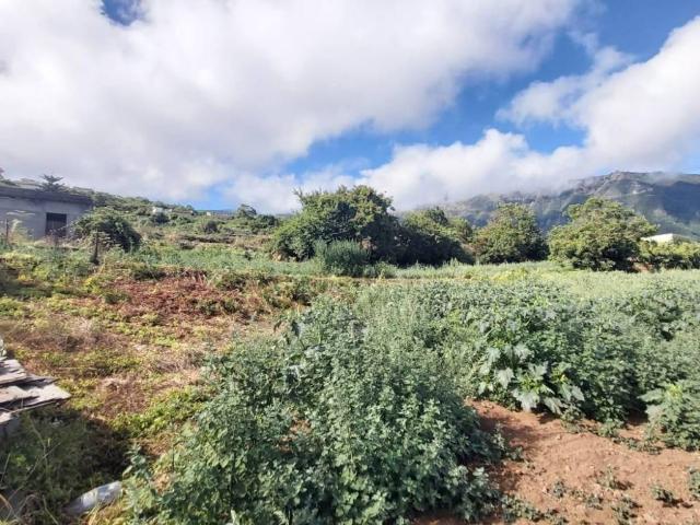 Terreno en venta en Los Realejos, Canarias