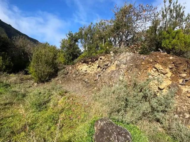 Terreno en venta en Los Realejos, Canarias