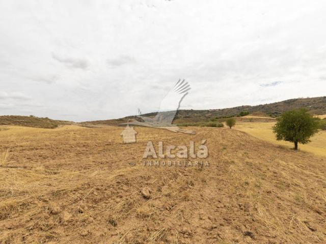 Terreno en venta en Los Santos De La Humosa, Madrid