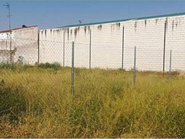 Terreno en venta en Los Santos de Maimona, Badajoz