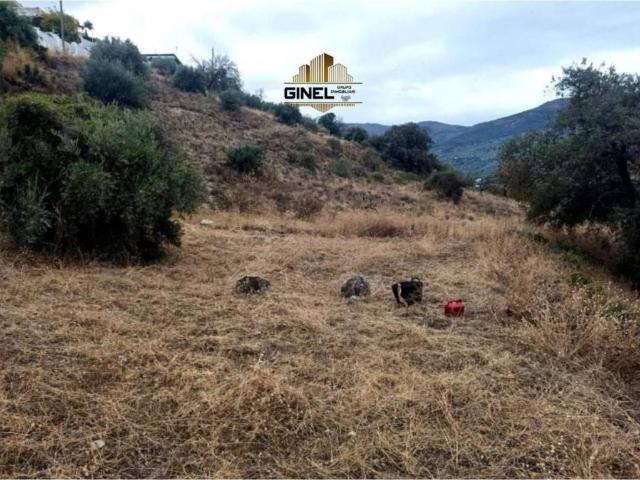 Terreno en venta en Los Villares, Andalucía