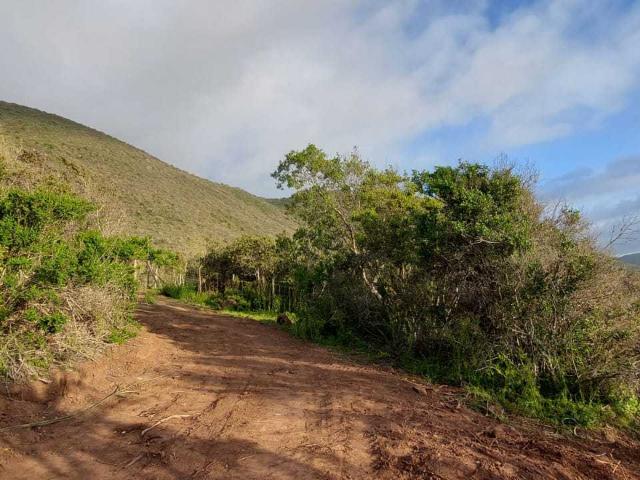 Terreno en Venta en Los Vilos