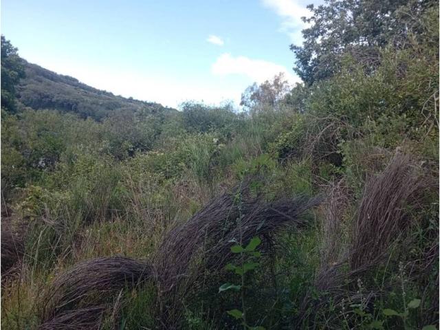 Terreno en venta en Losar De La Vera, Extremadura