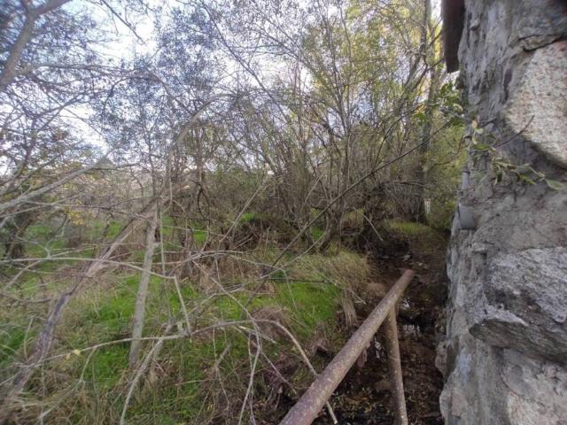 Terreno en venta en Lozoyuela-navas-sieteiglesias, Madrid
