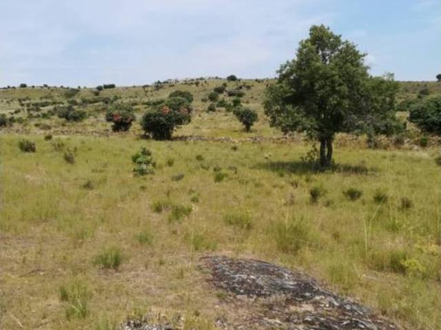 Terreno en venta en Lozoyuela-navas-sieteiglesias Terreno en venta en Lozoyuela-navas-sieteiglesias