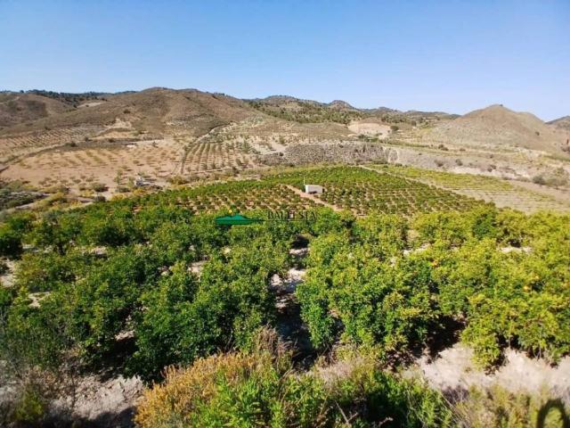 Terreno en venta en Lubrín, Andalucía
