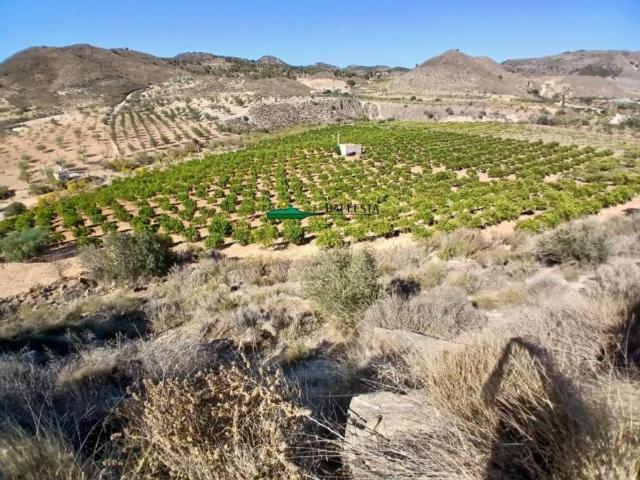 Terreno en venta en Lubrín, Andalucía