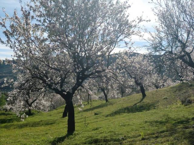 Terreno en venta en Lubrín, Andalucía