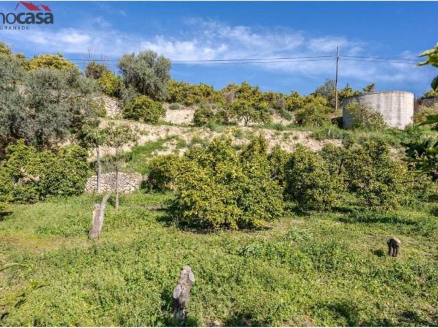 Terreno en venta en Valle del Almanzora, Andalucía