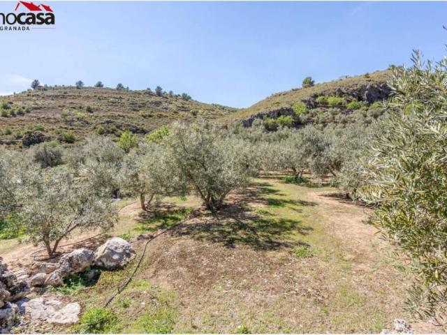 Terreno en venta en Valle del Almanzora, Andalucía
