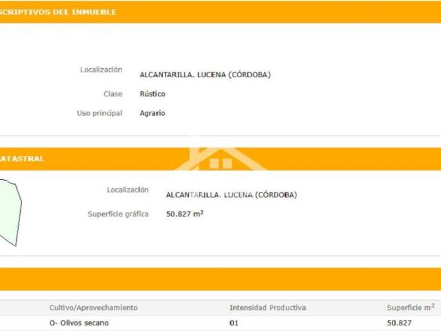 Terreno en venta en Lucena, Andalucía