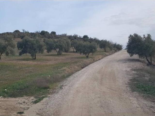 Terreno en venta en Lucena, Andalucía