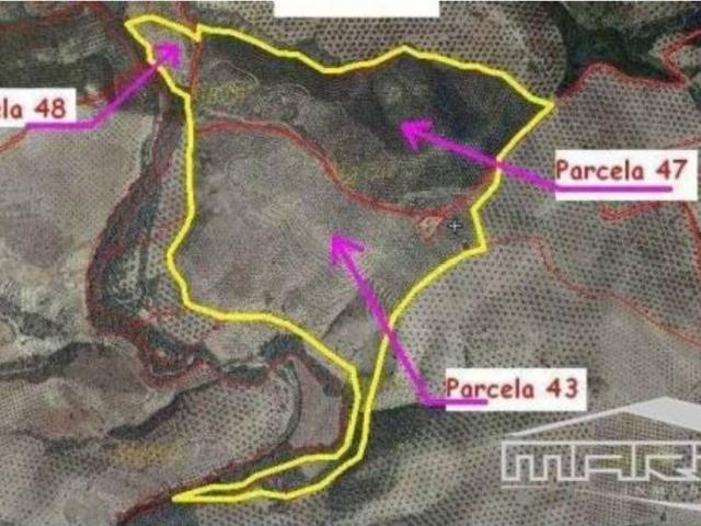 Terreno en venta en Lucena, Andalucía