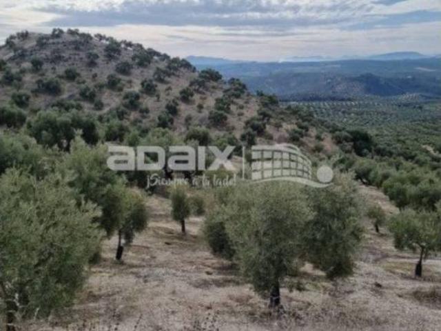 Terreno en venta en Lucena, Andalucía