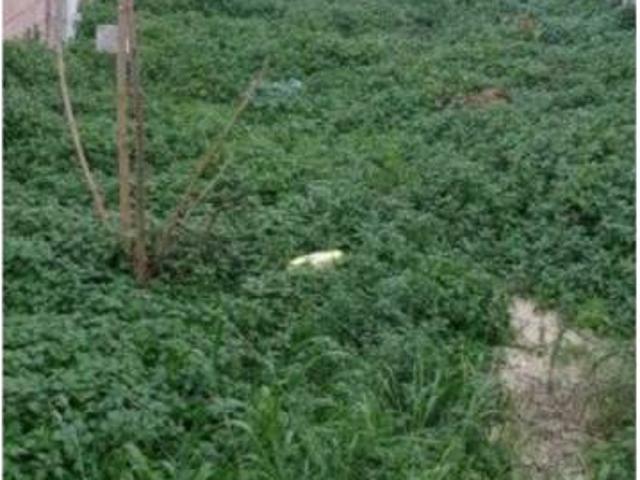Terreno en venta en Lucena, Andalucía