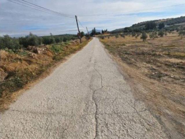 Terreno en venta en Lucena, Andalucía