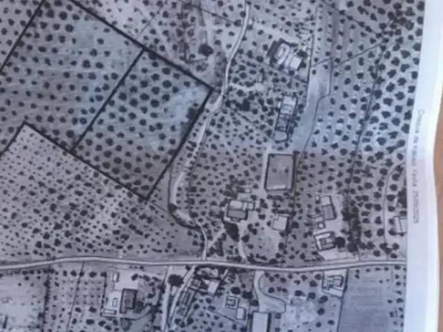 Terreno en venta en Lucena, Andalucía