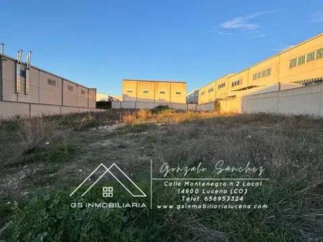 Terreno en venta en Lucena, Andalucía