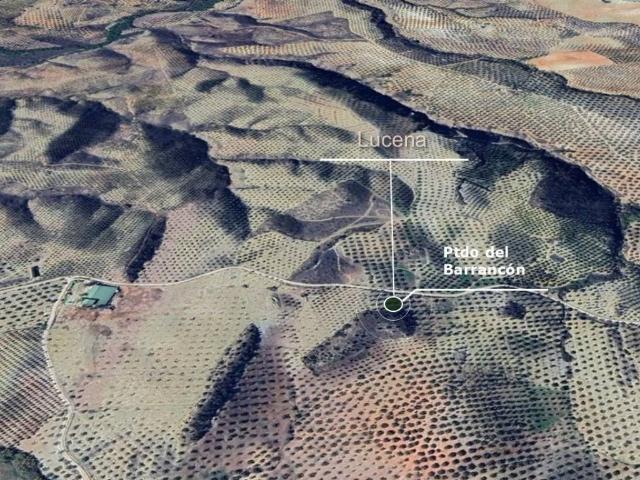 Terreno en venta en Lucena, Andalucía
