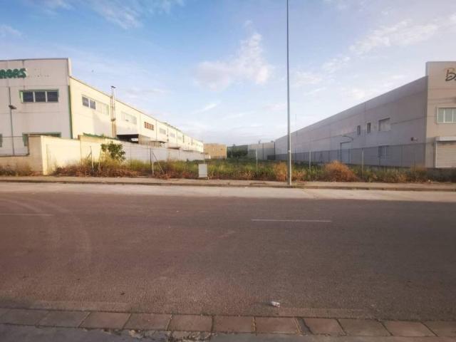 Terreno en venta en Lucena, Andalucía
