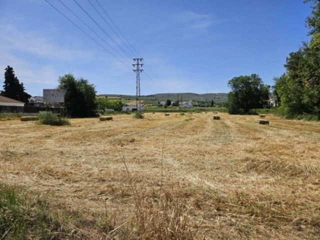 Terreno en venta en Lucena, Andalucía
