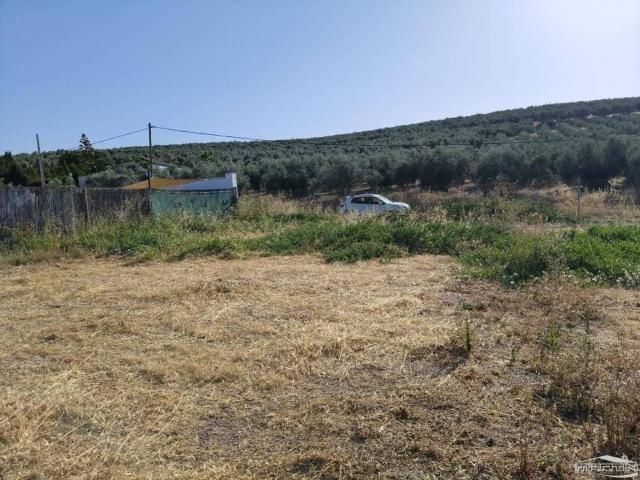 Terreno en venta en Lucena, Andalucía