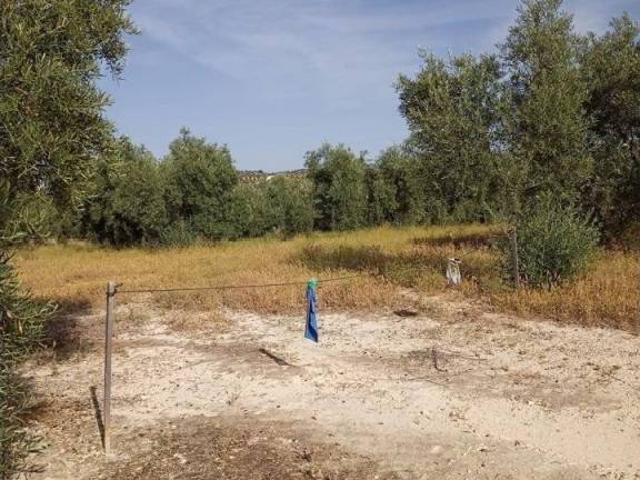 Terreno en venta en Lucena, Andalucía