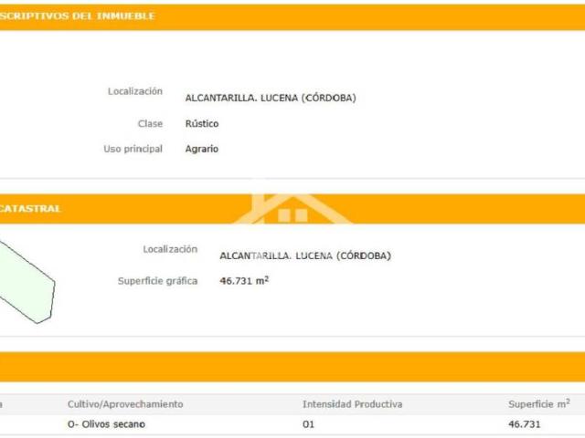 Terreno en venta en Lucena, Andalucía