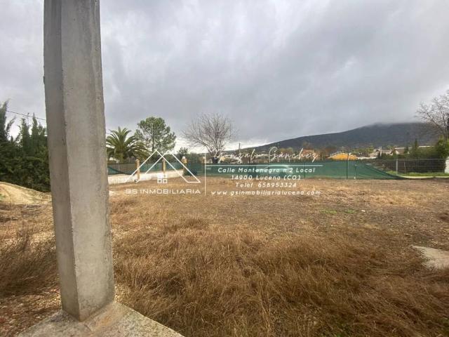 Terreno en venta en Cristo Marroquí, Lucena