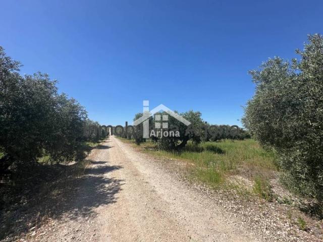 Terreno en venta en Lucena, Andalucía