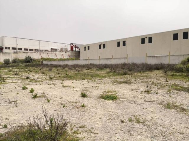 Terreno en venta en Lucena, Andalucía