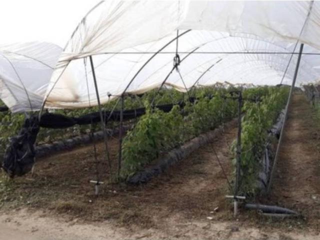 Terreno en venta en El Condado, Andalucía