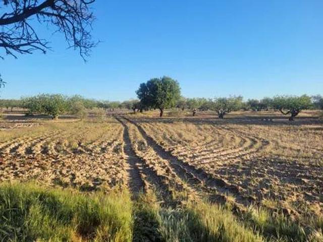 Terreno en venta en Kiem, Lucillos