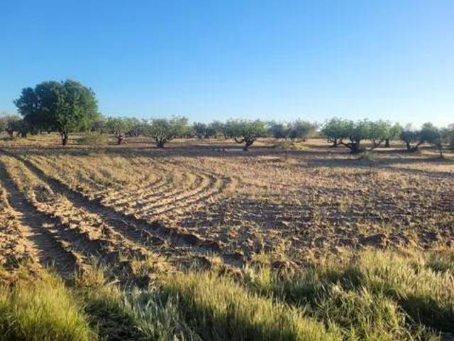 Terreno en venta en Kiem, Lucillos